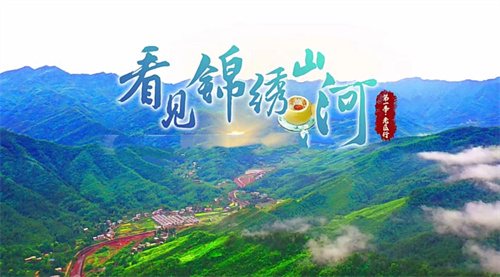 中国电视-《看见锦绣山河》：巴山蜀水的“中国银耳之乡”