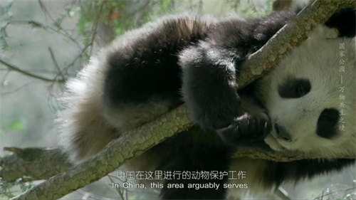中国电视-《国家公园：万物共生之境》：节目制片人访谈