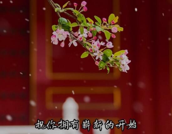 中国电视-《方言这么美》：立春｜春满人间年味浓