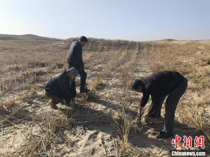 我家这一年：从黄沙漫天到蓝天常在