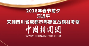 习言道｜祝你们的生活像吃汤圆一样，安逸！