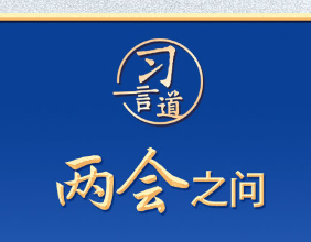 习近平的两会之问丨“你这个群主是怎么当上的？”