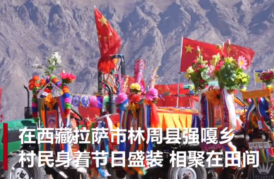 西藏拉萨：高原春耕进行时