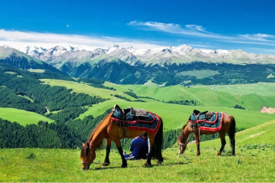 新疆文旅“圈粉”东南亚客商