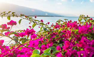 习言道｜促进产业增值、企业增效、群众增收