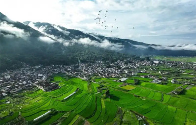 云南用生态“含绿量”赢得发展“含金量”