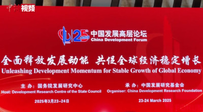 【小新的Vlog】在中国做生意，这些外企有啥生意经？