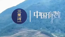 中国有数｜全国每3勺糖有2勺产自广西，“糖罐子”有多甜