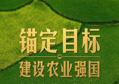 中国出台加快建设农业强国“施工图”