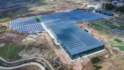 文成亮相跨国农业合作洽谈会 高山植物工厂招引海内外客商