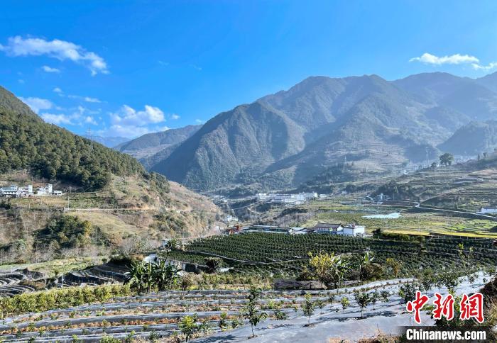 在常来常往间感知中国与中马友好