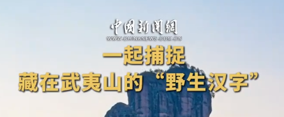 何以中国｜一起捕捉藏在武夷山的“野生汉字”