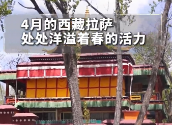 西藏拉萨：布达拉宫脚下的欢乐时光