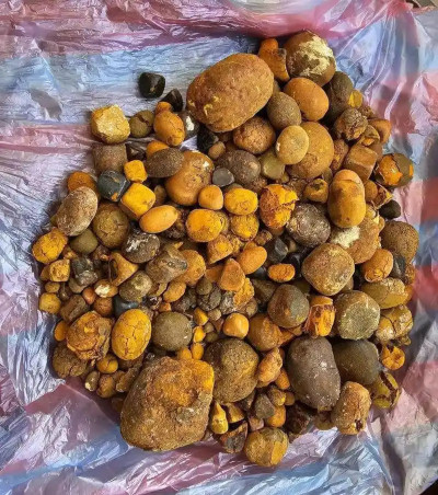 两部门发文 允许进口牛黄试点用于中成药生产