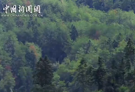 何以中国｜文脉耀古今！用古诗词的方式打开宝藏武夷