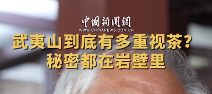何以中国｜武夷山到底有多重视茶？秘密都在岩壁里
