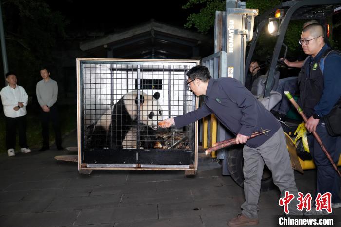 奥地利驻华大使馆公使：“荷风”“兰韵”将被所有奥地利人喜爱