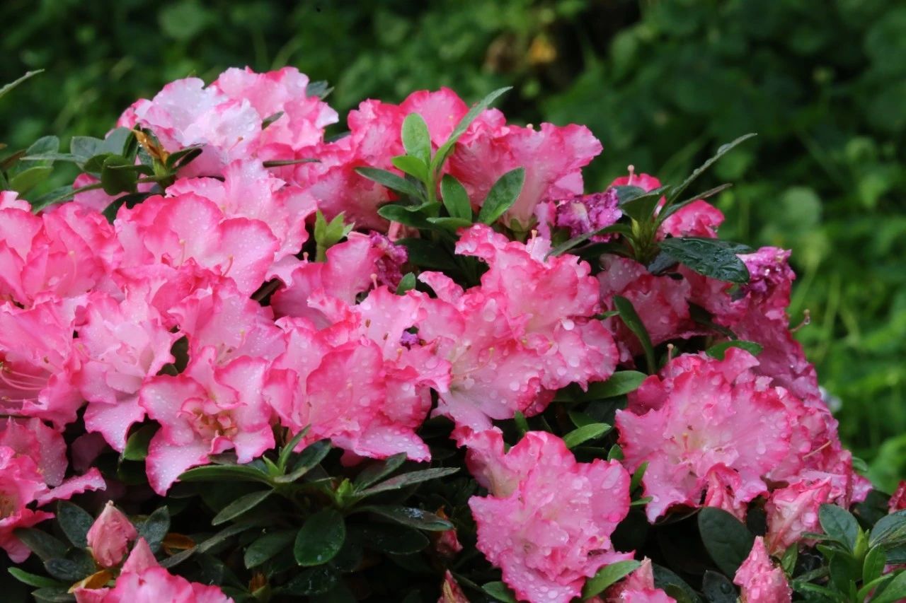 丽水九城联动打造“五一”文旅主题盛宴