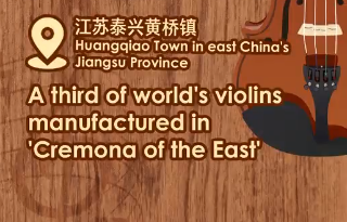 全球三分之一的小提琴竟产自这个中国小镇