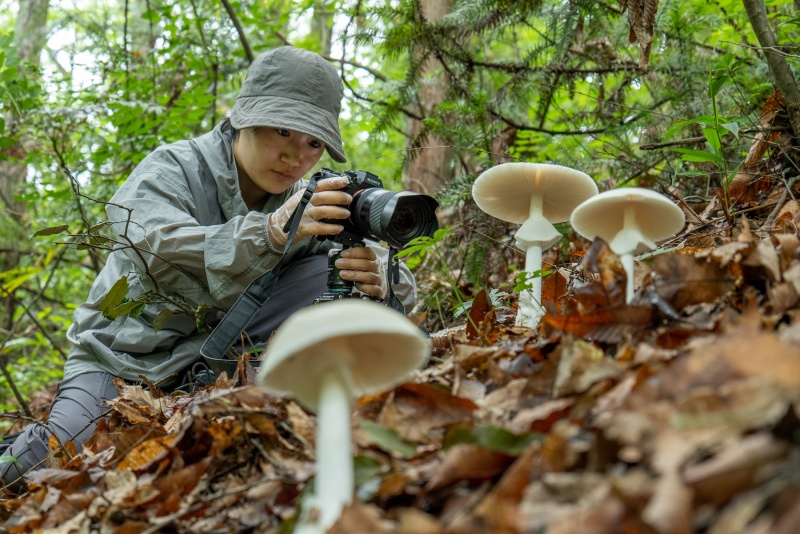郝艳佳：母校，永远是我的榜样
