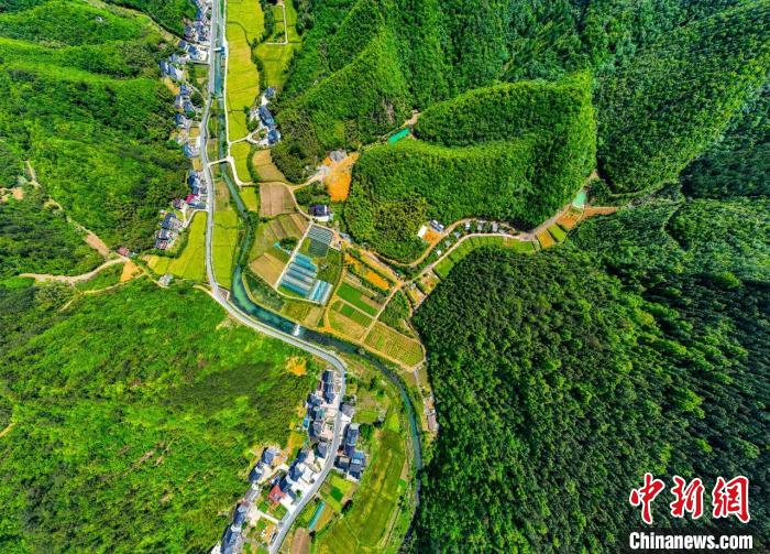 浙西“会呼吸的钱袋子”何以年收千万？