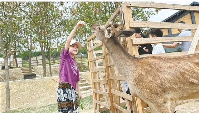 历史与现代共舞 城市IP引流游客 侨都