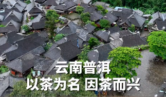 【这个城市有点潮】云南普洱：去“以茶为名”的地方赴一场茶香之约