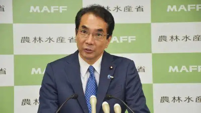 国际观察：日本农相引咎辞职 石破内阁受打击