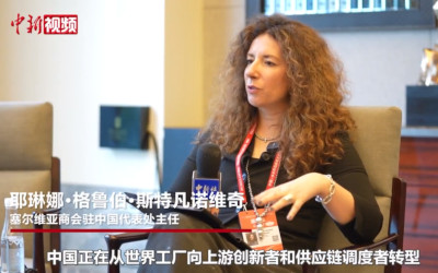 塞尔维亚商会驻中国代表处主任：中国是首选合作对象