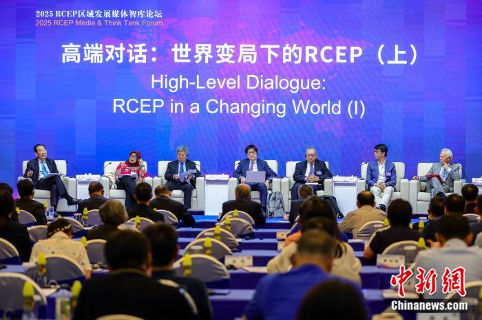 中外专家吁尽快推动香港加入RCEP