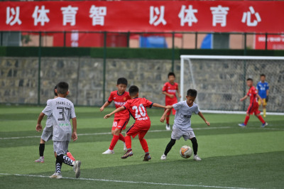 福建省教育学会成立校园足球发展委员会