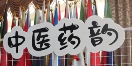 端午邂逅中医 国际学生解锁文化新体验