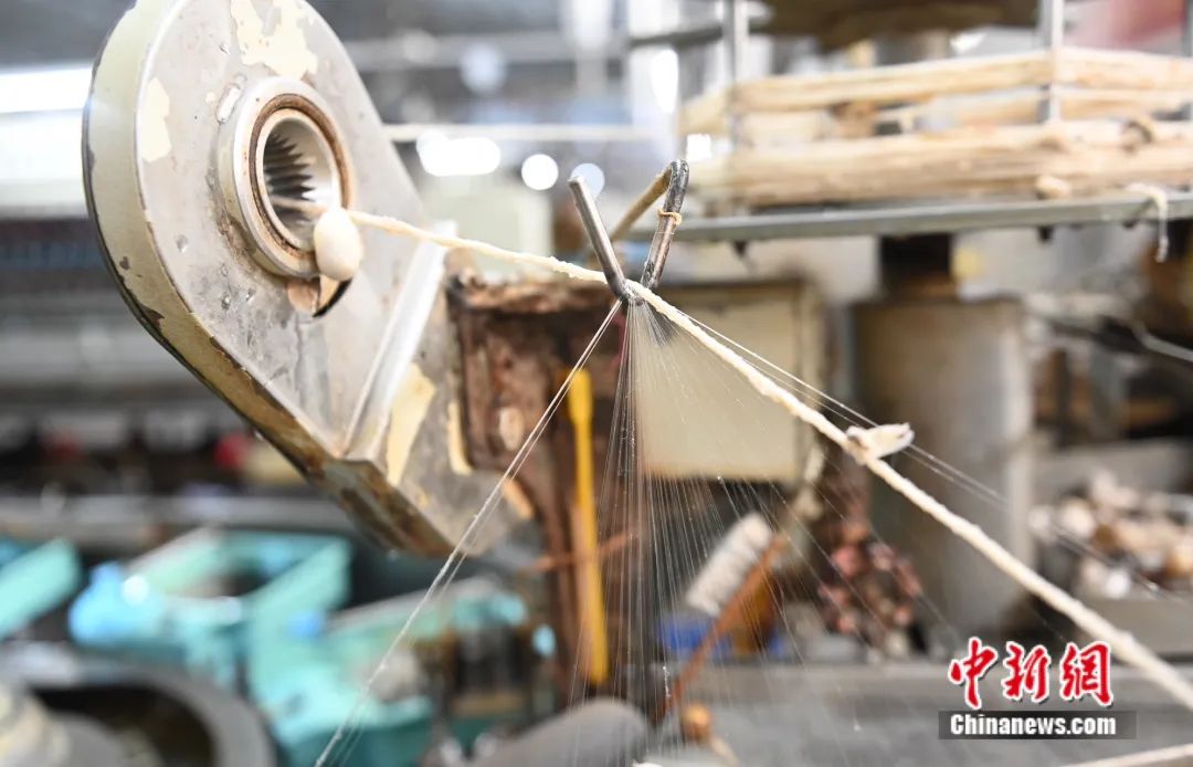 小蚕虫变身“产业龙”，广西这座小城如何实现“破茧重生”？