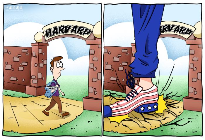 霸权足下，裂痕深处 | 新漫评