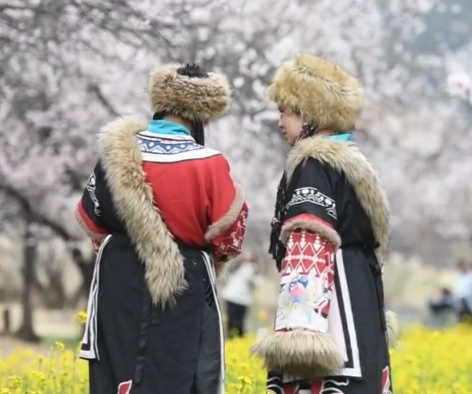 西藏旅游热潮：“世界屋脊”的创纪录增长与新机遇