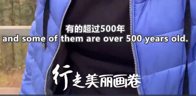 行走美丽画卷｜China Travel还能怎么玩？跟着洋主播打卡“中国林都”伊春 徜徉生态之美