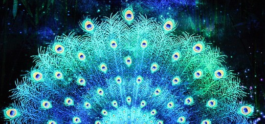 从孔雀舞到折子戏，印尼青年的“汉语桥”与“汉语梦”