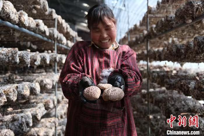 碳路中国｜中国乡村探索低碳发展路径 构建可持续未来