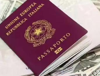 意大利就是否放宽入籍要求举行公投