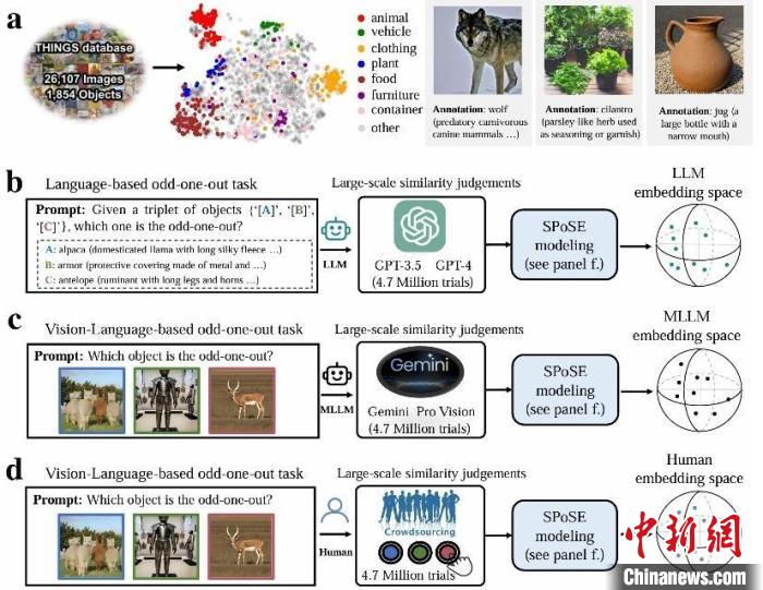 人工智能可自发形成人类级认知？中国团队最新研究首次证实