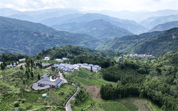 四川马边：“茶旅融合”共绘民族团结新画卷