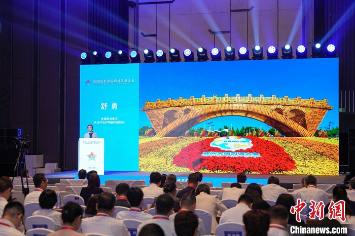 全国政协委员舒勇：成功的国际传播需构建强大的“情感矢量”