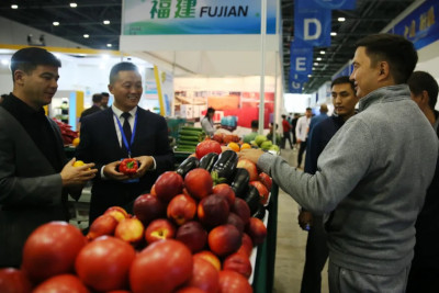 东西问丨奥登·沙亚赫梅达娃：哈中农业合作为何“全面开花”？