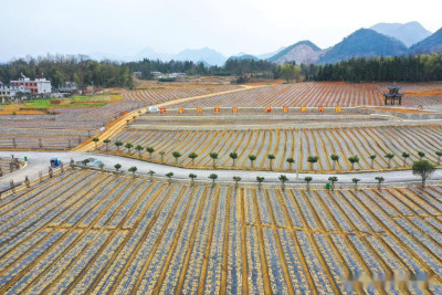 温州两项目入选“感知中国” 打造平台推动特色文化海外出圈