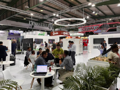 东西问丨邓玉萍：中非共“逐”绿 如何转动共赢之匙？