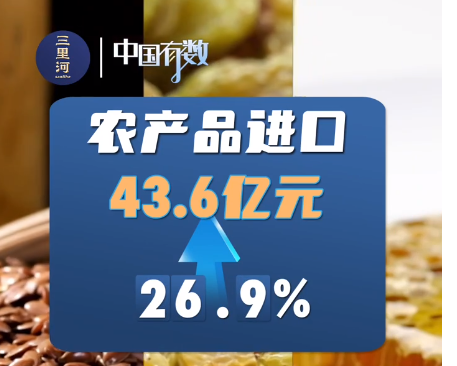 中国有数丨中国与中亚五国经贸合作，跑出“公路加速度”