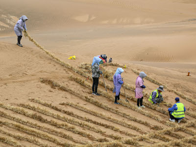 中国十余年间完成沙化土地治理3.65亿亩