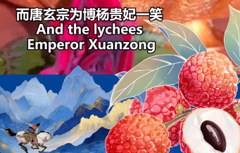 《长安的荔枝》火上热搜！剧中的“岭南”原来是这里！丨中国城·国际范儿