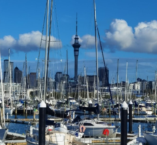 新西兰2025年11月起面向中国访客试行签证便利新政策