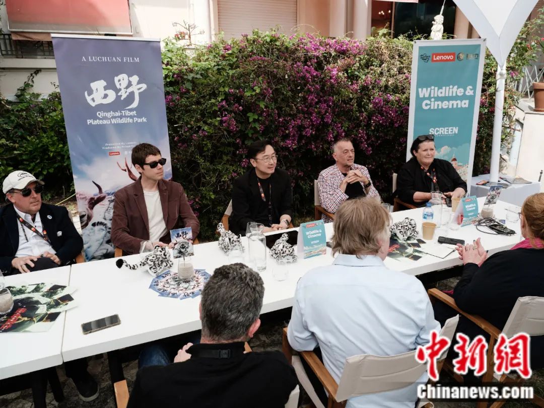 东西问丨陆川：在戛纳讲述拍摄野生动物保护廿载情怀
